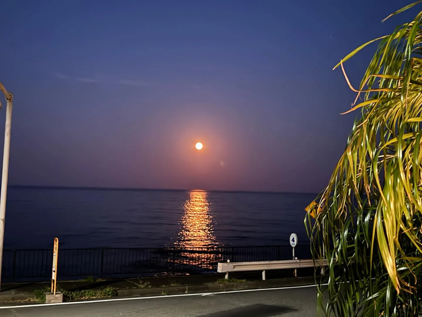 昨夜、白浜海岸での花火大会は、これからの夏シーズンの始まりを...