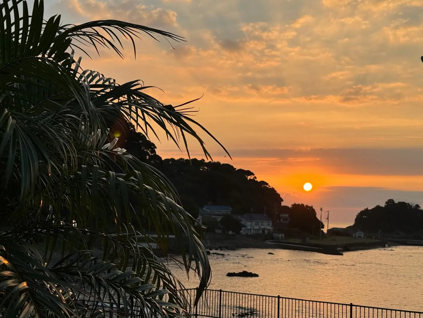 今朝のKRバーズヴィラ伊豆白浜リゾートからの日の出🌅8月にな...