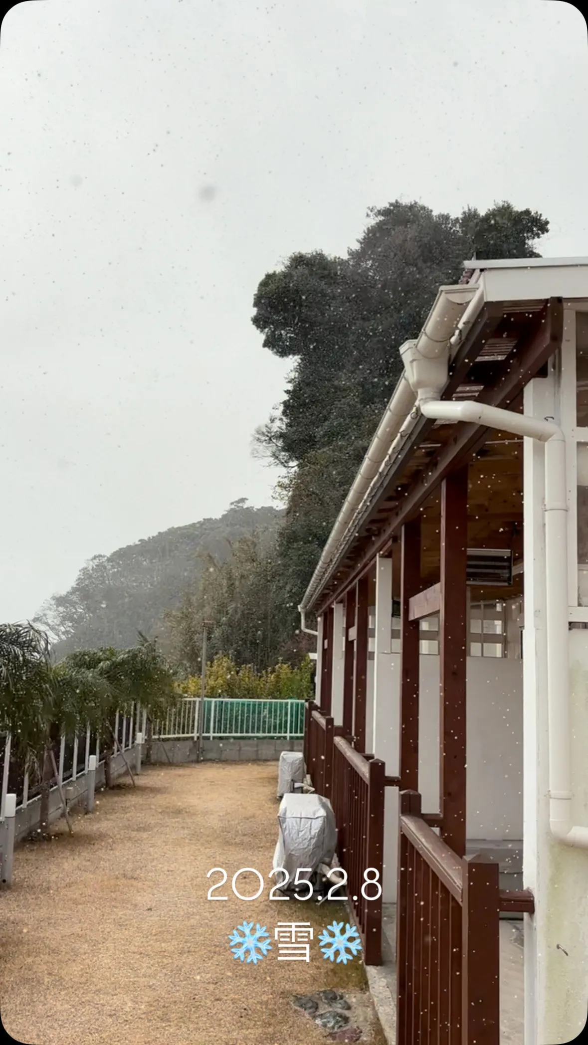 伊豆白浜では、珍しい雪❄️ 